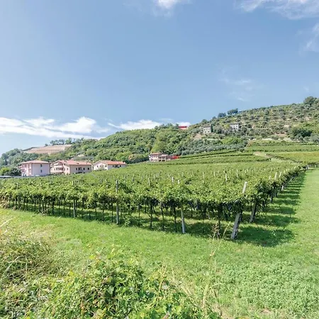 Amarone